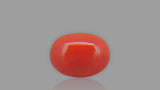 Buy 2.08 Carat Red Coral Stone from Only Natural Gemstones