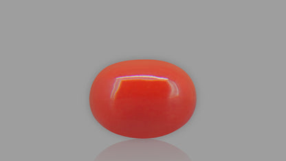 Buy 2.08 Carat Red Coral Stone from Only Natural Gemstones