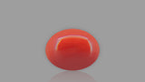 Buy 1.93 Carat Red Coral Stone from Only Natural Gemstones