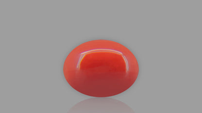 Buy 1.93 Carat Red Coral Stone from Only Natural Gemstones