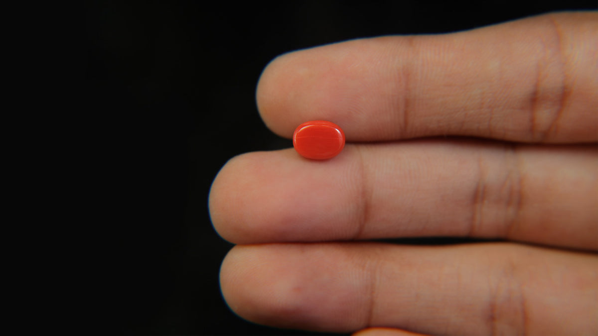 Buy Natural 1.93 Carat Red Coral Stone at best price online