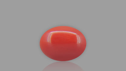 Buy 1.96 Carat Red Coral Stone from Only Natural Gemstones