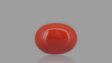 Buy 1.94 Carat Red Coral Stone from Only Natural Gemstones