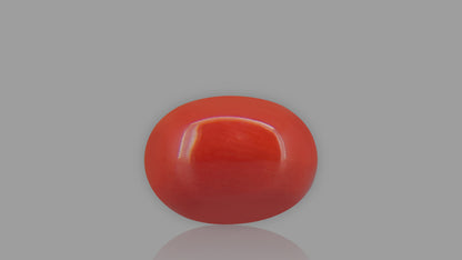 Buy 1.94 Carat Red Coral Stone from Only Natural Gemstones