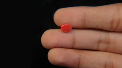 Buy Natural 1.94 Carat Red Coral Stone at best price online