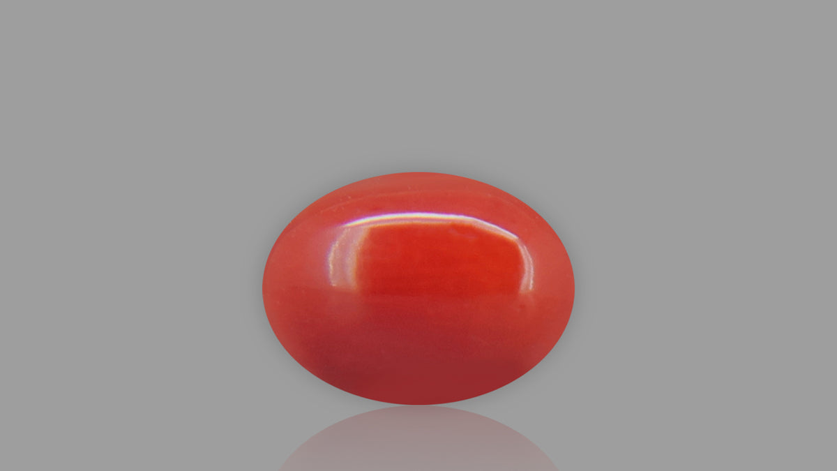 Buy 1.76 Carat Red Coral Stone from Only Natural Gemstones