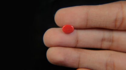 Buy Natural 1.76 Carat Red Coral Stone at best price online