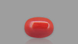 Buy 2.01 Carat Red Coral Stone from Only Natural Gemstones