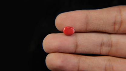 Buy Natural 2.01 Carat Red Coral Stone at best price online
