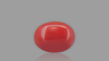 Buy 1.80 Carat Red Coral Stone from Only Natural Gemstones