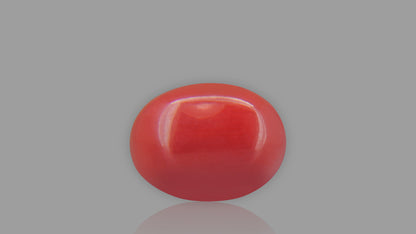 Buy 1.80 Carat Red Coral Stone from Only Natural Gemstones