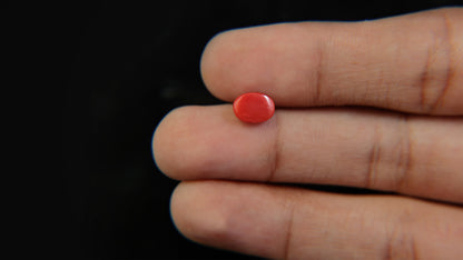 Buy Natural 1.80 Carat Red Coral Stone at best price online