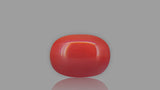 Buy 1.95 Carat Red Coral Stone from Only Natural Gemstones