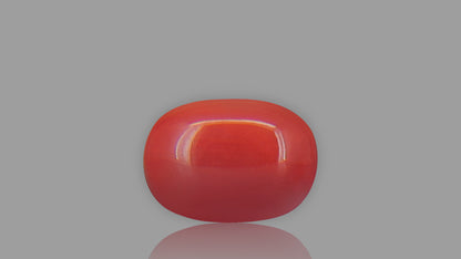 Buy 1.95 Carat Red Coral Stone from Only Natural Gemstones