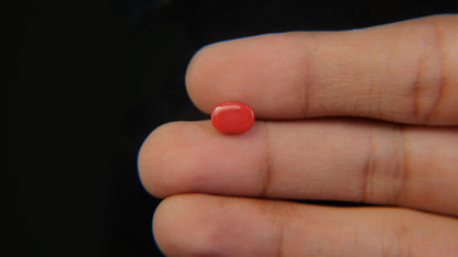 Buy Natural 1.95 Carat Red Coral Stone at best price online