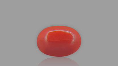 Buy 1.81 Carat Red Coral Stone from Only Natural Gemstones