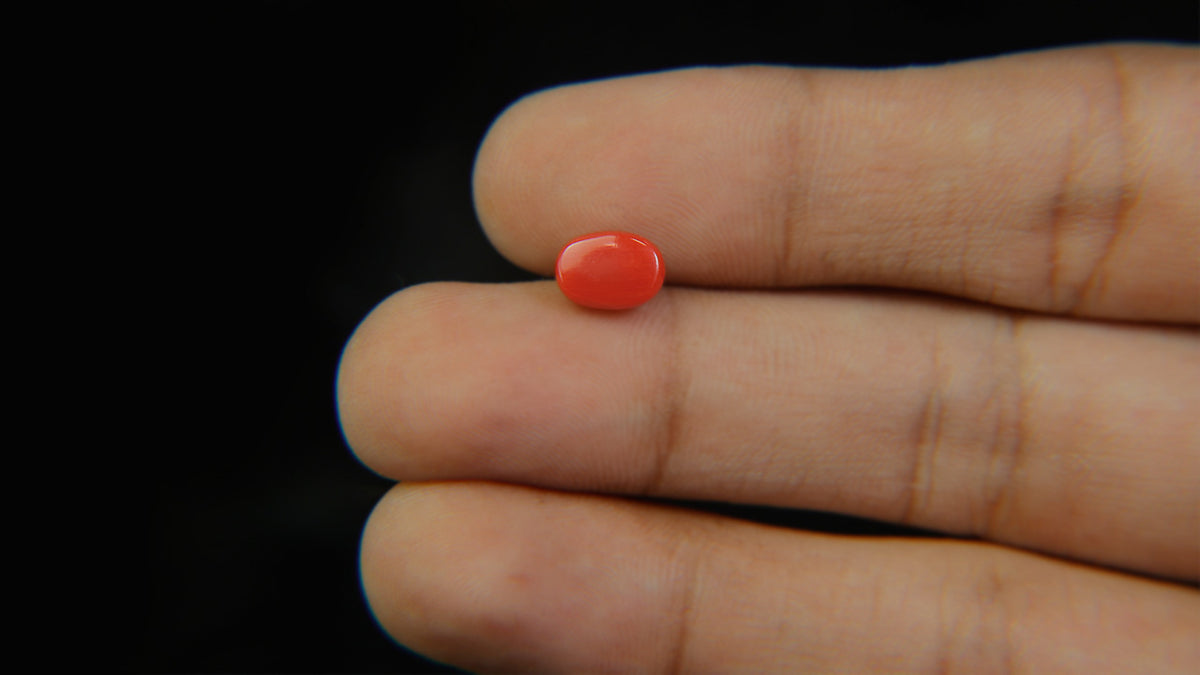Buy Natural 1.81 Carat Red Coral Stone at best price online