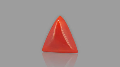 Buy Natural Italian Red Coral weighing 6.88 Carat at Best Price