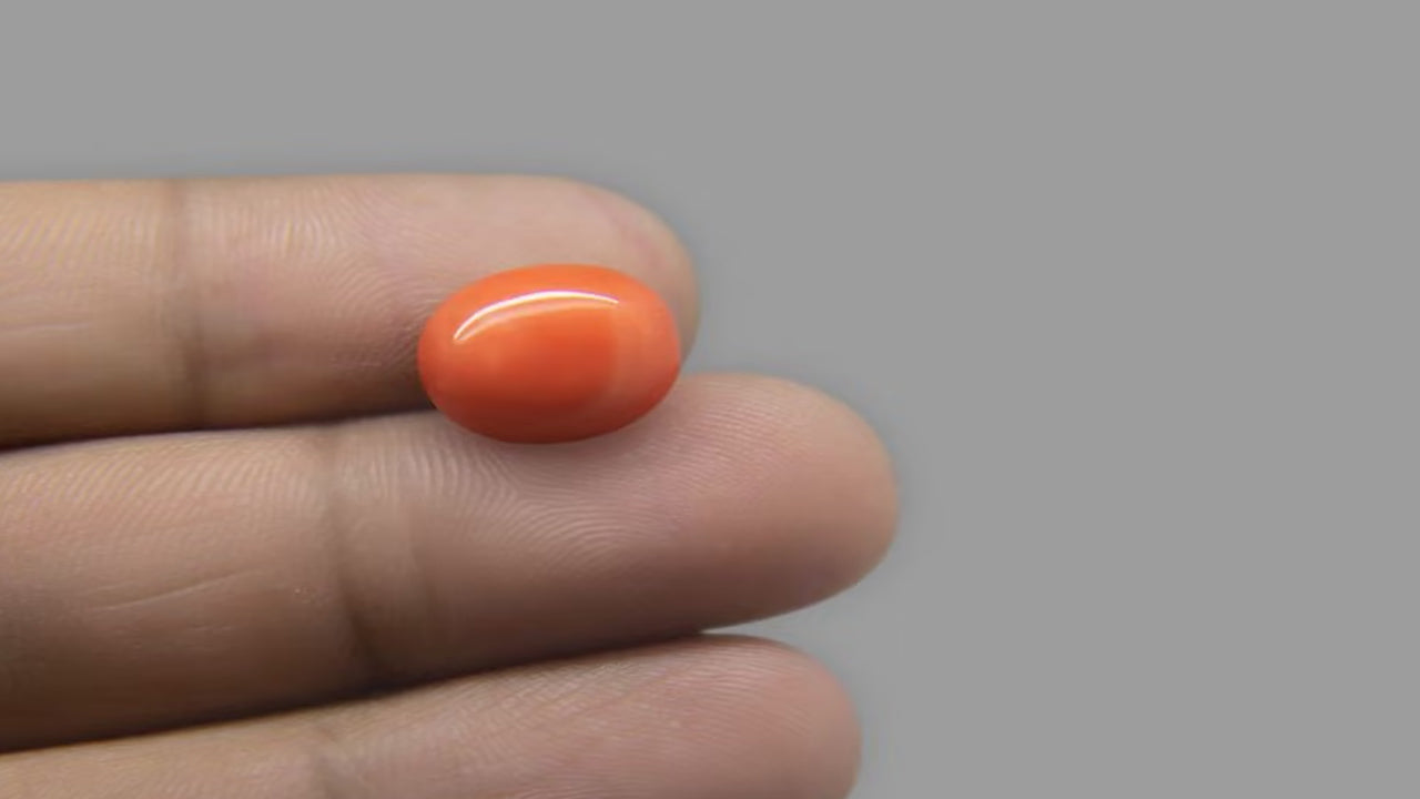 Buy Natural 6.88 Carat Red Coral Stone at best price online