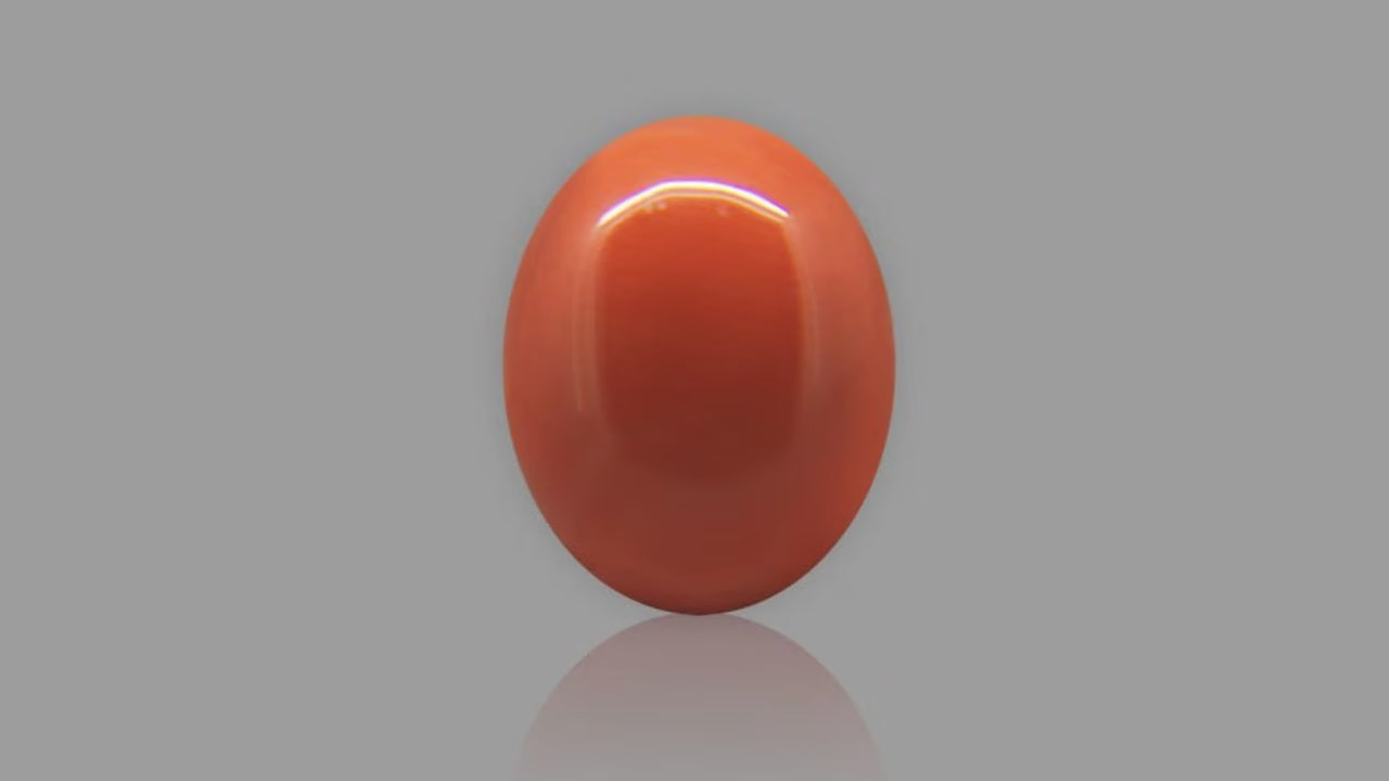 Buy Natural Italian Red Coral weighing 6.88 Carat at Best Price
