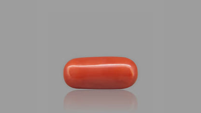 Buy 8.13 Carat Red Coral Stone from Only Natural Gemstones