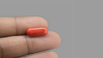Buy Natural 8.13 Carat Red Coral Stone at best price online
