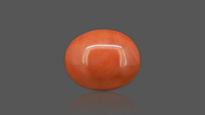 Red Coral - 12.40 Carat