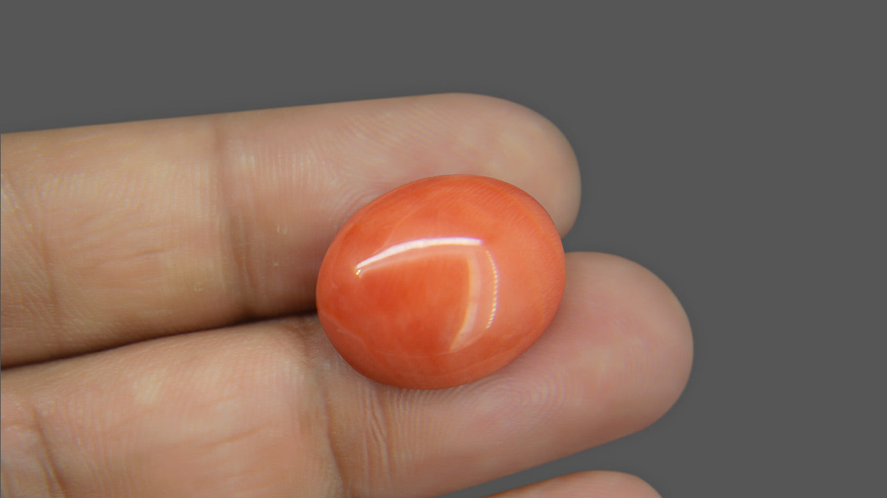 Buy Natural 13.50 Ratti Moonga Stone at best price online
