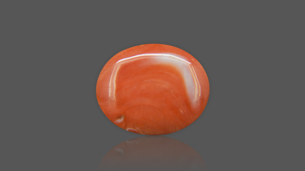 Buy Natural Japan Red Coral weighing 13.50 Ratti at Best Price
