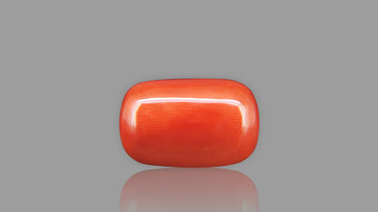 Buy 18.00 Carat Red Coral Stone from Only Natural Gemstones
