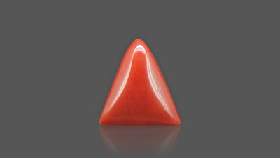 Red Coral - 7.60 Carat