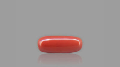 Red Coral - 8.88 Carat