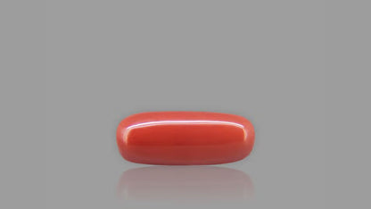 Buy 8.88 Carat Red Coral Stone from Only Natural Gemstones