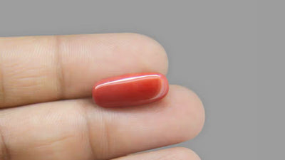 Red Coral - 8.88 Carat