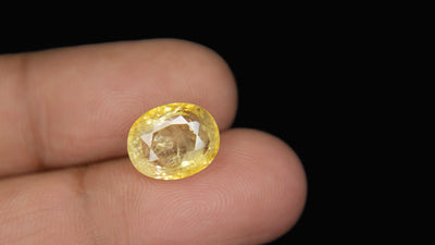 Yellow Sapphire - 7.52 Carat