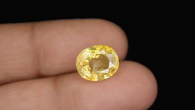 Yellow Sapphire - 8.59 Carat